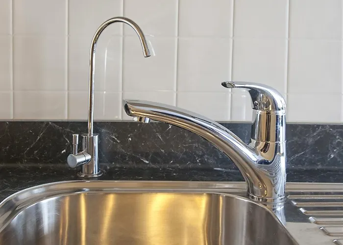 스포트 오브 킹스 로토루아